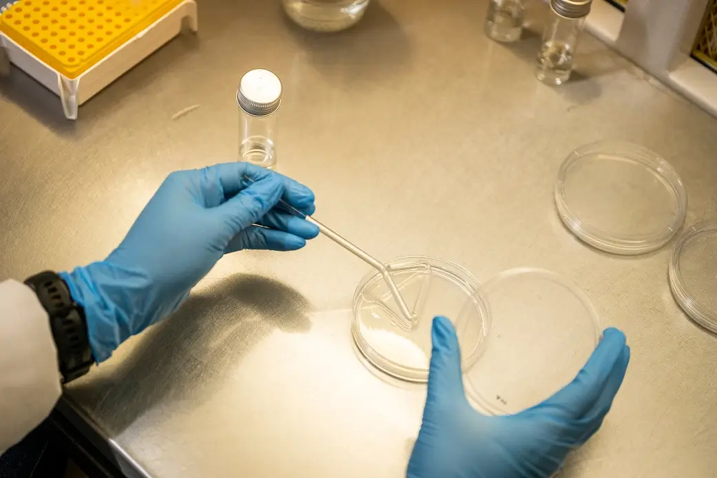 Sterile Laboratories